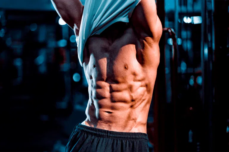 cual es el mejor quemador de grasa abdominal para hombres en chile six pack hombre
